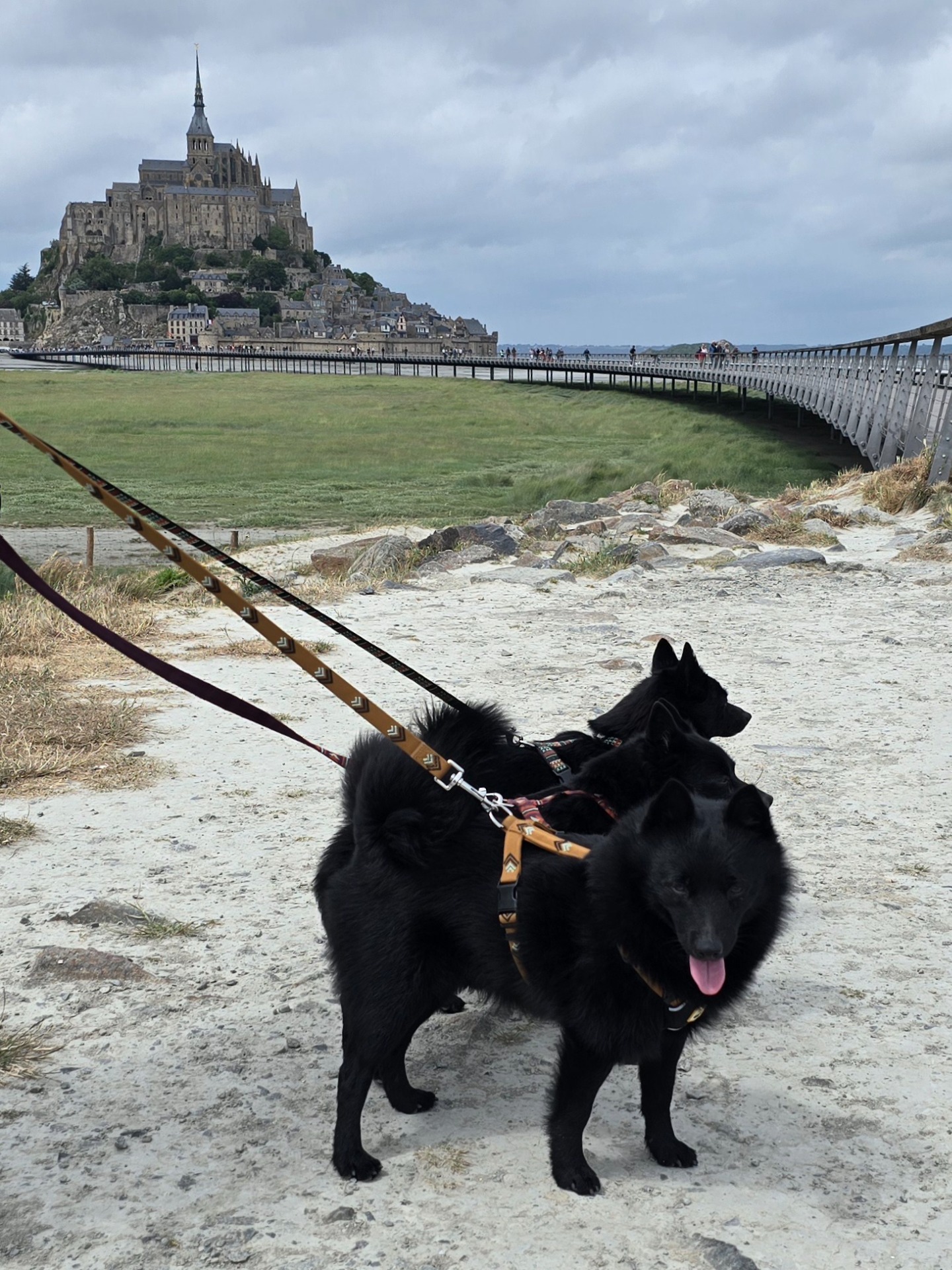 På väg till Le Mont Saint Michel