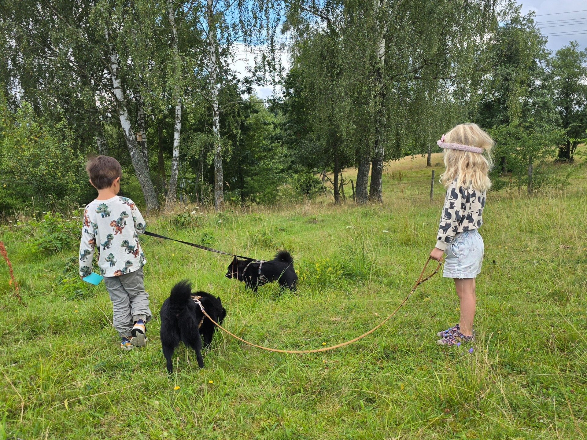 Syskonbarnbarn med kompis och vovvarna lika lyckliga