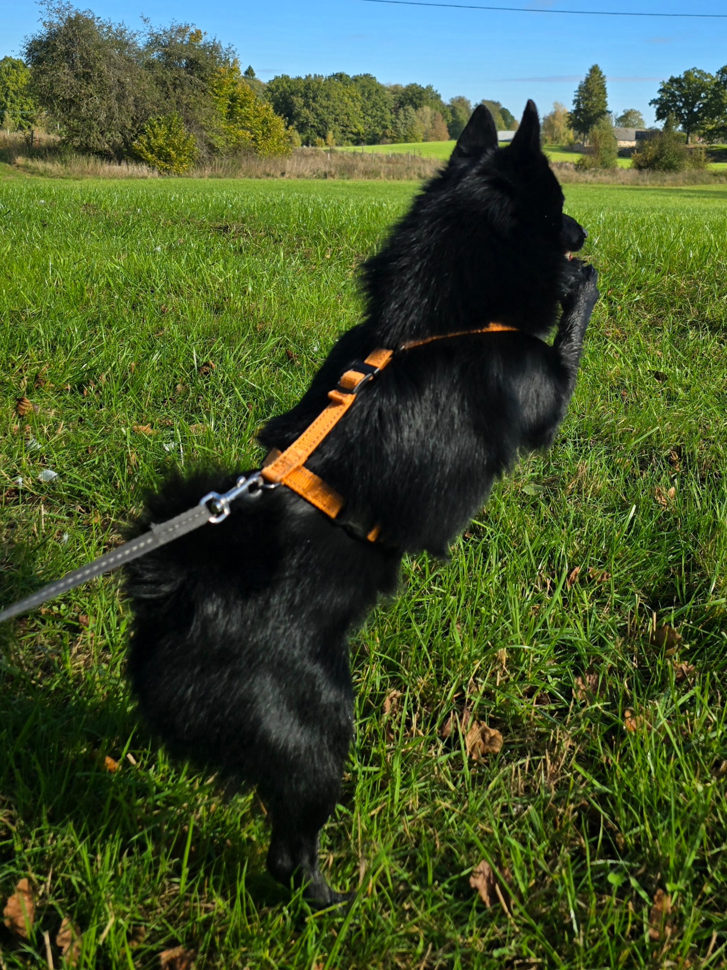 Santos ivrig att börja spåra
