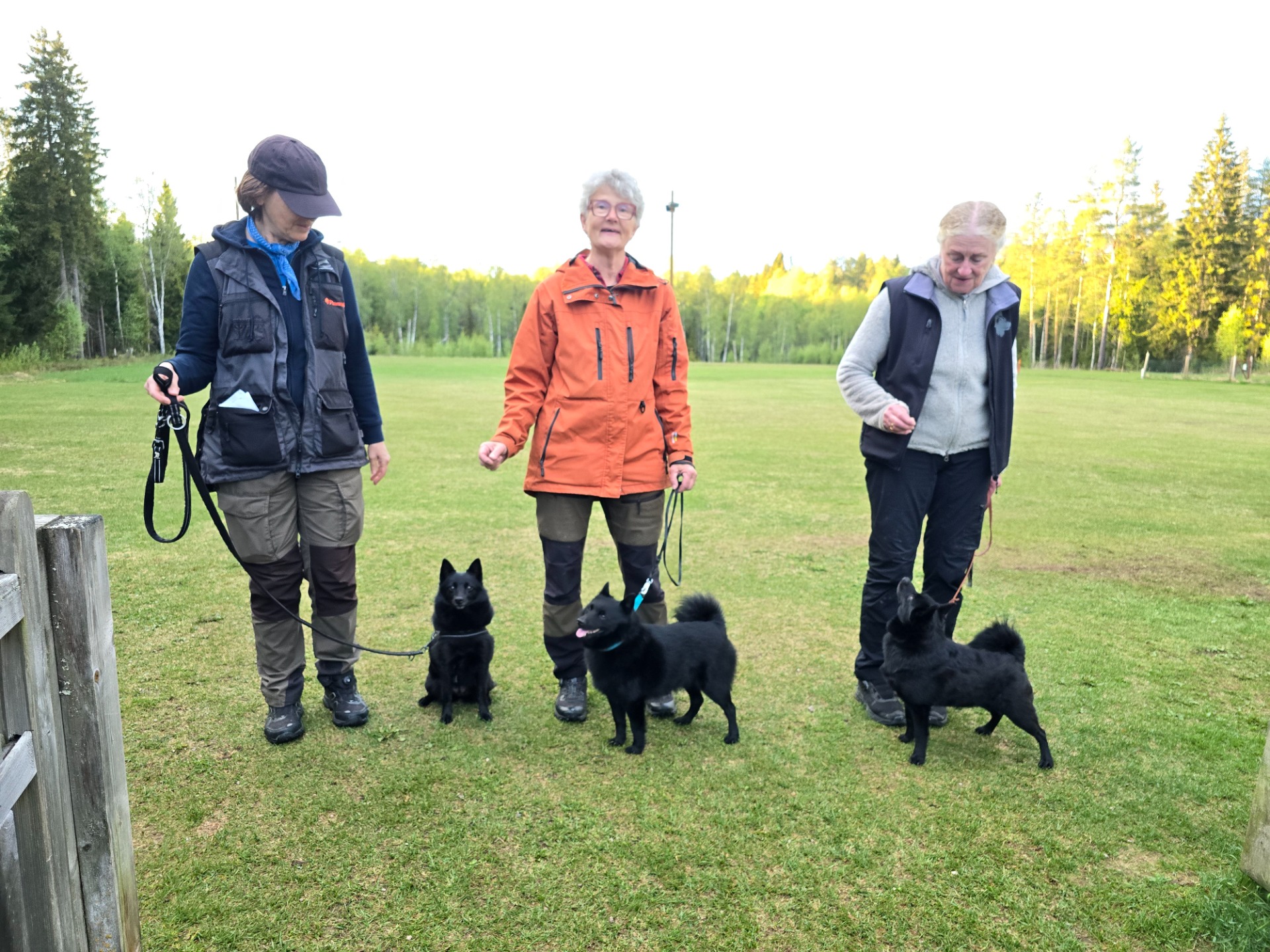 Kul att vi blev tre Schipperker pÄ Bruksprov