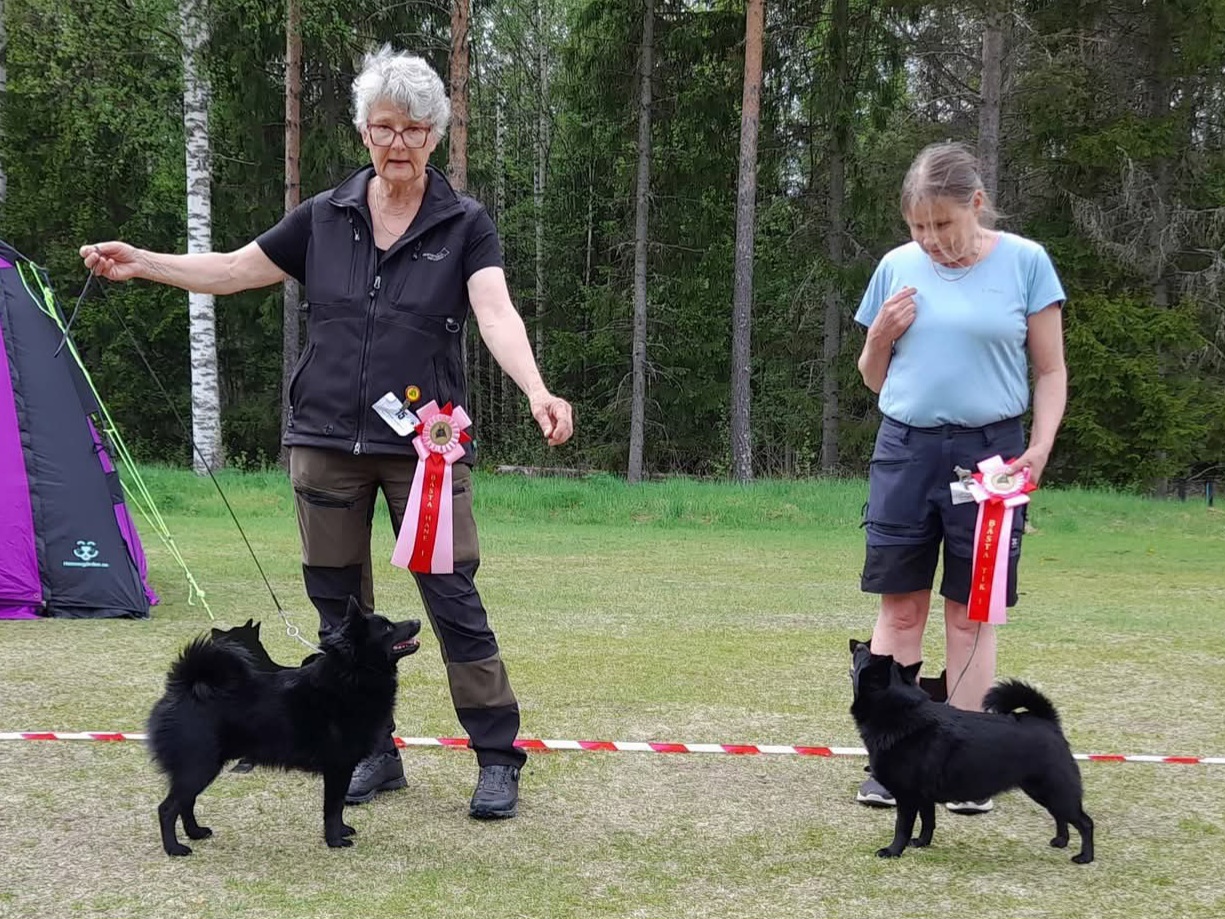 Tokaj blev BÀsta hane pÄ den inofficiella utstÀllningen